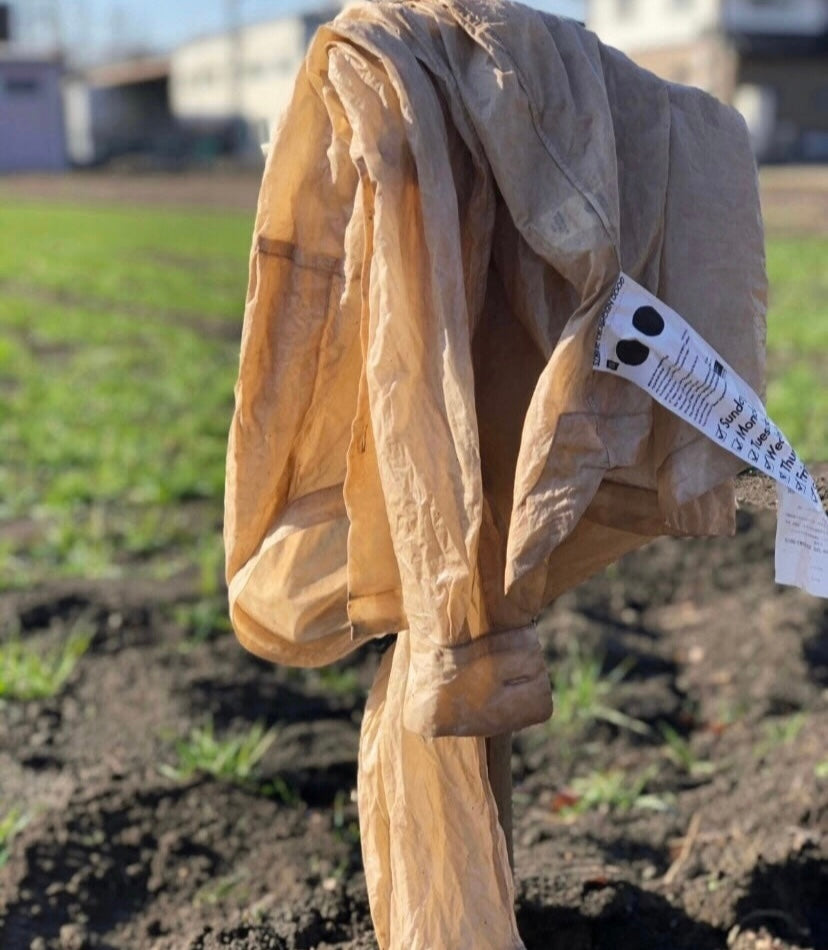 The Jackson Clay Dye Shirt